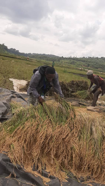 RICE PLANTATION TOUR